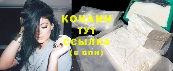 гашик Елизово
