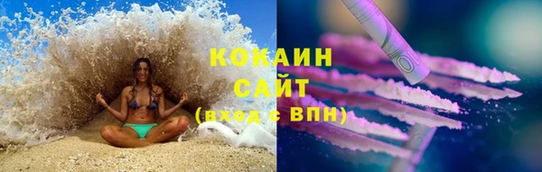 2c-b Ельня