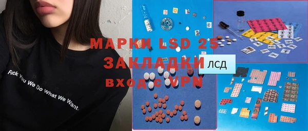 2c-b Ельня