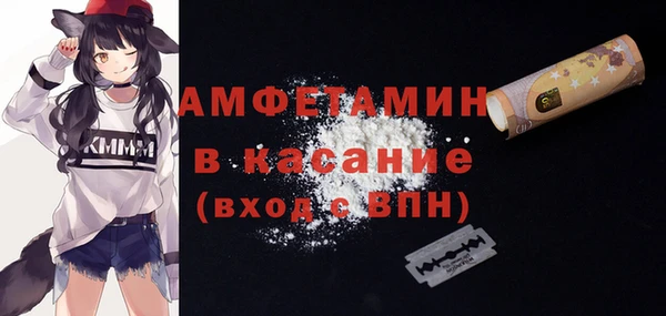 гашик Елизово