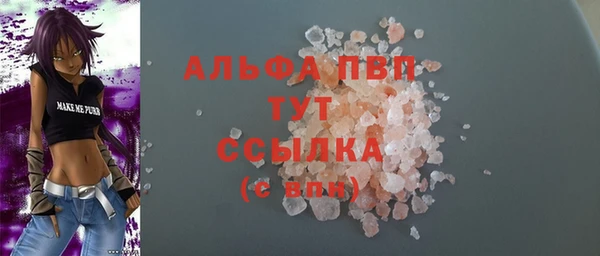 2c-b Ельня