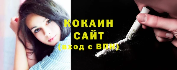 гашик Елизово