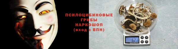 гашик Елизово