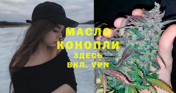 2c-b Ельня