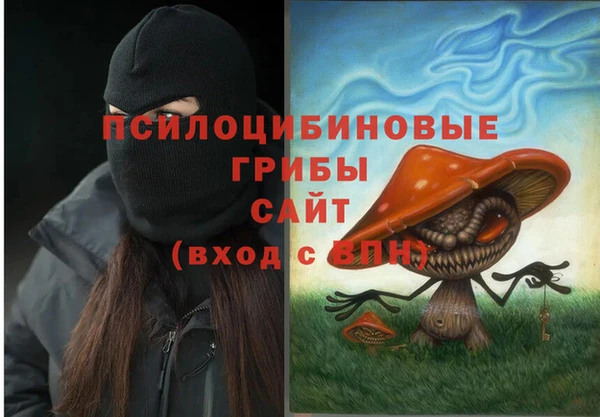 2c-b Ельня