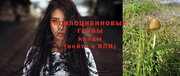 2c-b Ельня