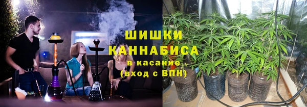 2c-b Ельня