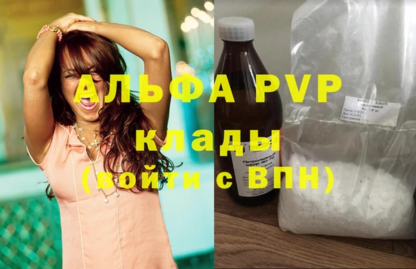 гашик Елизово