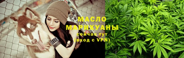 2c-b Ельня