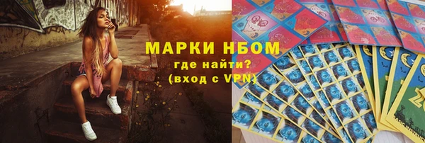 гашик Елизово