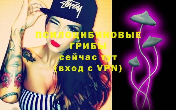 гашик Елизово