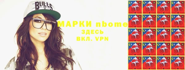 2c-b Ельня
